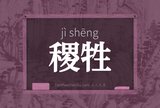 稷牲