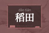 稻田