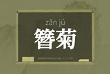 簪菊