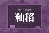 籼稻