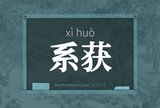 系获