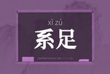 系足