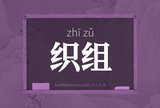织组