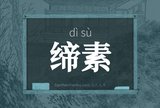 缔素