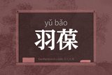 羽葆