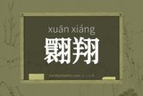 翾翔