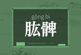 肱髀