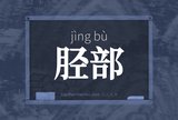 胫部