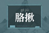 胳揪