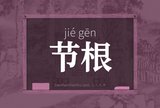 节根