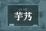 芋艿