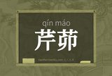 芹茆