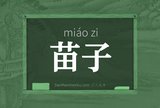 苗子