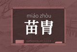 苗胄
