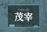 茂宰