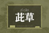茈草