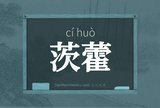 茨藿