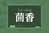 茴香