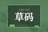 草码