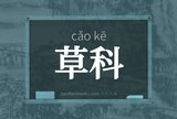 草科