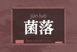 菌落