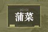蒲菜