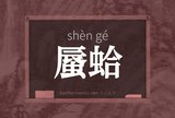 蜃蛤