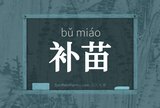 补苗