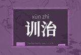 训治
