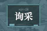 询采