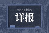 详报