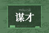 谋才