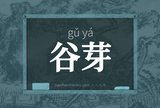谷芽