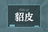 貂皮
