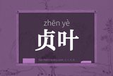 贞叶