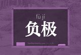 负极