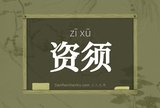 资须