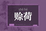赊荷
