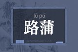 路蒲