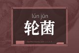 轮菌