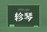 轸琴