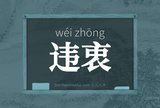 违衷