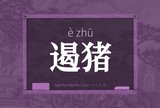 遏猪