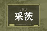 采茨
