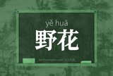 野花