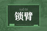 锁臂