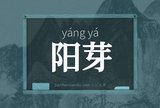 阳芽