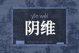 阴维