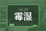 霉湿
