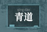 青道